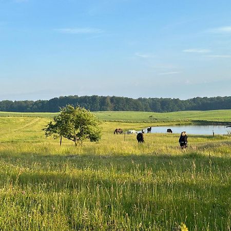Projekt Stajnia - Nadmorski Osrodek Jazdy Konnej - Noclegi Łazy Exteriér fotografie