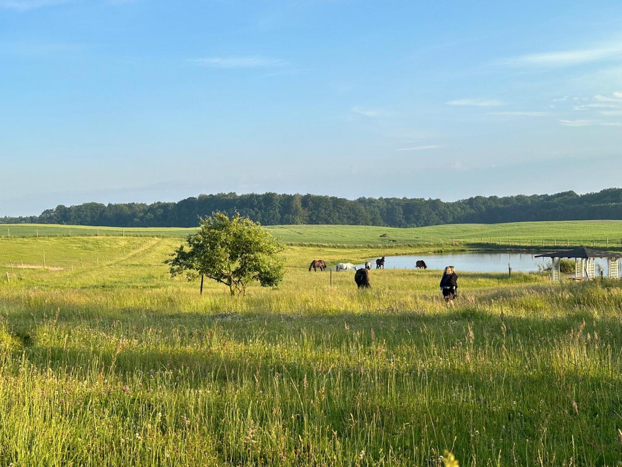 Projekt Stajnia - Nadmorski Osrodek Jazdy Konnej - Noclegi Łazy Exteriér fotografie